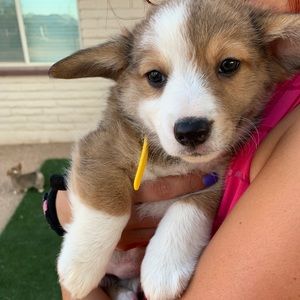 Meet your Posher, Alec